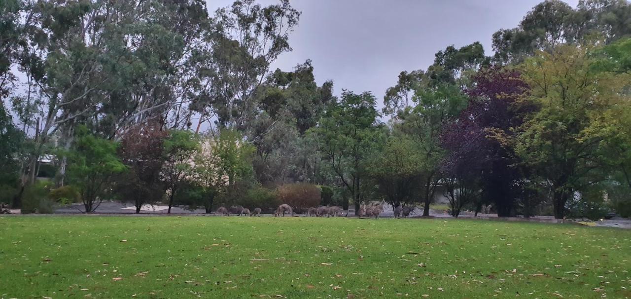 A-Line Holiday Park Bendigo Exterior foto